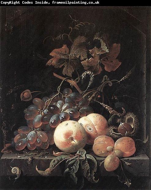 Abraham Mignon Still-Life with Fruits